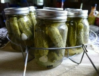Garlic dill pickles
