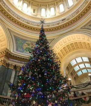 Christmas tree at the Capital building in Madison, Wisconsin