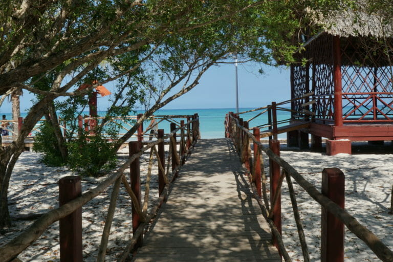 Walkway to ocean view