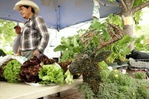 Produce vendor at Farmers' Market with table of greens