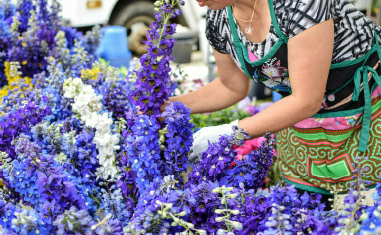 Florist setting up flowers